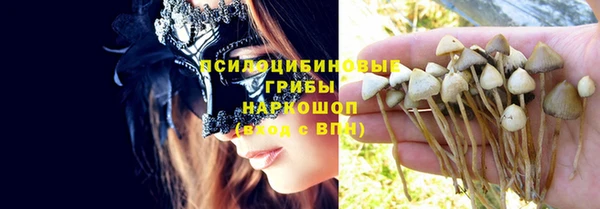 прущие грибы Алексеевка